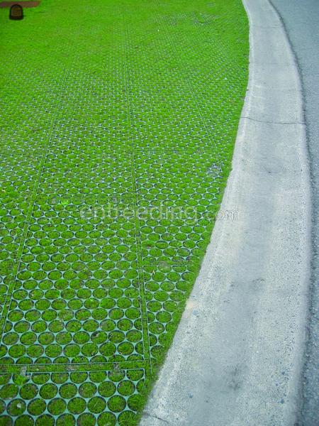 Ritter XXL Grasplaat