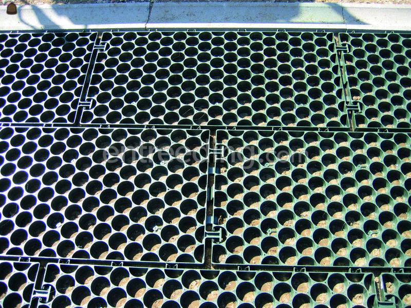 Ritter XXL Grasplaat