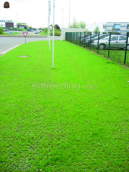 Ritter XXL Grasplaat