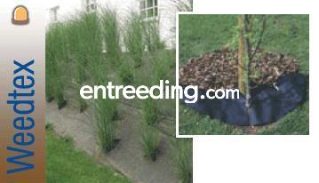 Weedtex - geotextiel