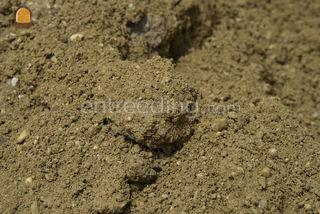 Baalerzand Omgeving Grave