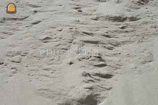 Zandbak zand Omgeving Grave