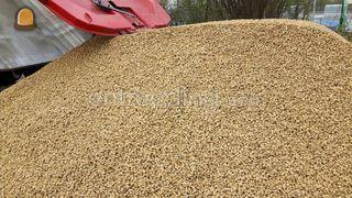 Gralux 7/14 Omgeving Schagen