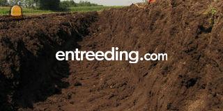 12000 m3 teelgrond Den Oe... Omgeving Schagen