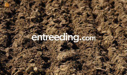 12000 m3 teelgrond Den Oever