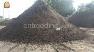 AW-teelgrond regio Amster... Omgeving Schagen