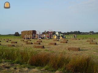 Agrarisch Omgeving Leiden