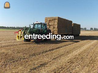 Fendt 412 Omgeving Wijk bij Duurstede