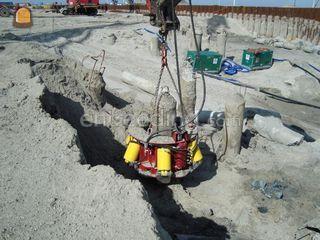 Diaber palenkraker Omgeving Groningen West