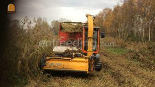 Pisstenbully Omgeving Purmerend