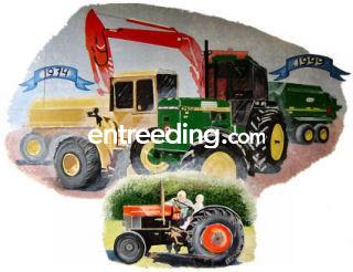 Loonbedrijf Wen de Jong B.V. uit Wijdewormer