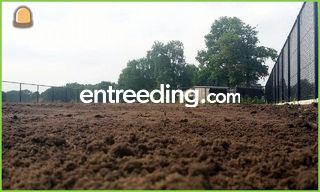 Teelaarde gezeefd en verr... Omgeving Herentals, Turnhout