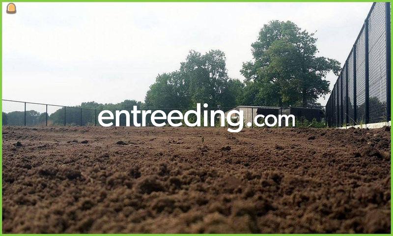 Teelaarde gezeefd en verrijkt met champignonmest regio Geel - Eindhout