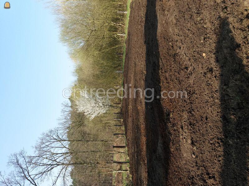 Teelaarde gezeefd en verrijkt met champignonmest regio Geel - Eindhout