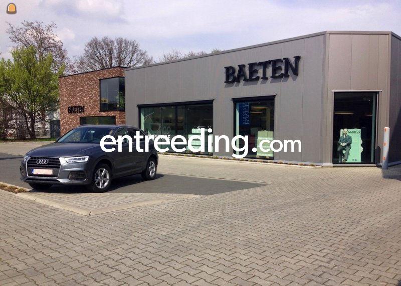 Wegenwerken, wegaanleg, betonwerken