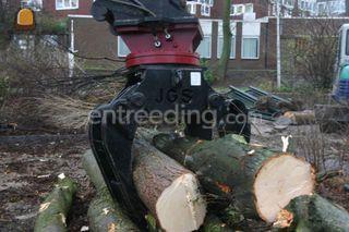 Bomenknijper Omgeving Sliedrecht