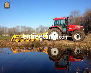 Bos wallenfrees Omgeving Kamerik