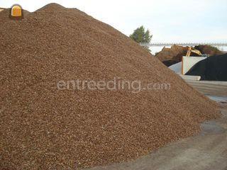 schelpen gewassen Omgeving De Drechtsteden