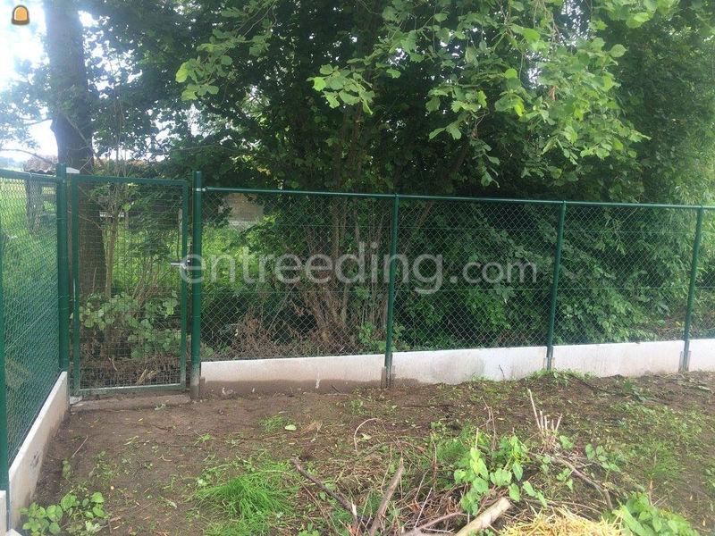 Tuinaanleg, gazon aanlegggen, aflsuitingen