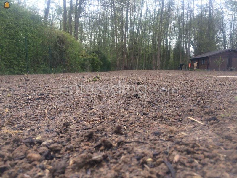 Tuinaanleg, gazon aanlegggen, aflsuitingen