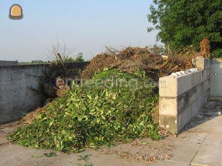 afvoer Groenvuil Omgeving De IJsselsteden