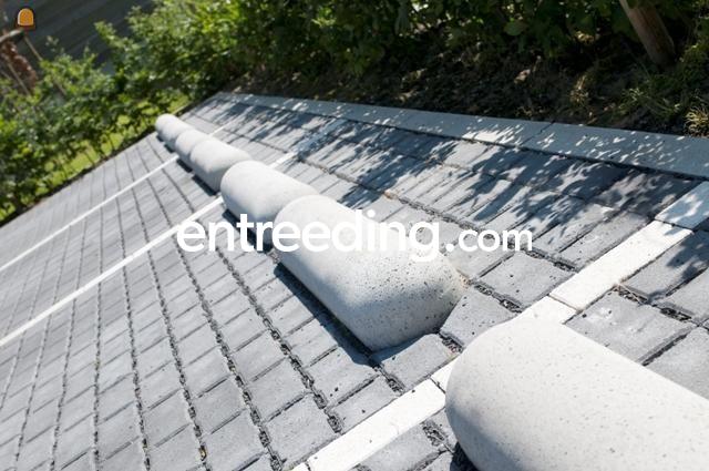 Lijnvormige elementen