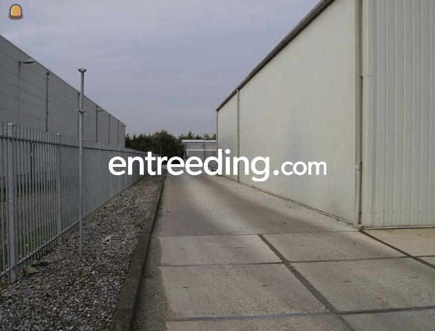 Vloeistofdichte betonplaten