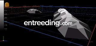 Depotmeting, inmeten en u... Omgeving Lochem