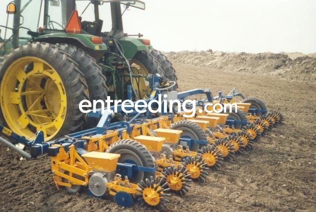 Kleine Unicorn Bietenzaaier