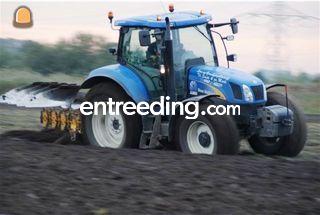 New Holland TM 190 + rump... Omgeving Oosterhout