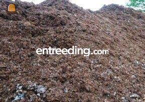 Champost Omgeving Roosendaal