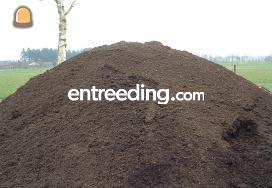 GFT compost