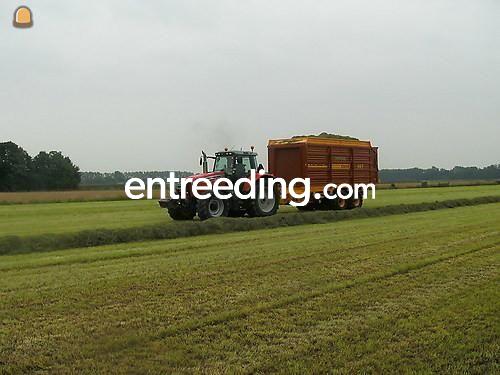 Schuitemaker Rapide 145/580