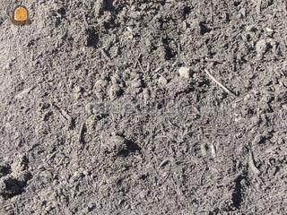 Natuur compost Omgeving Leiden