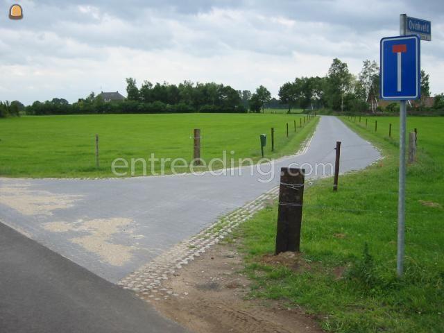 Aanleg toegangswegen/bestrating