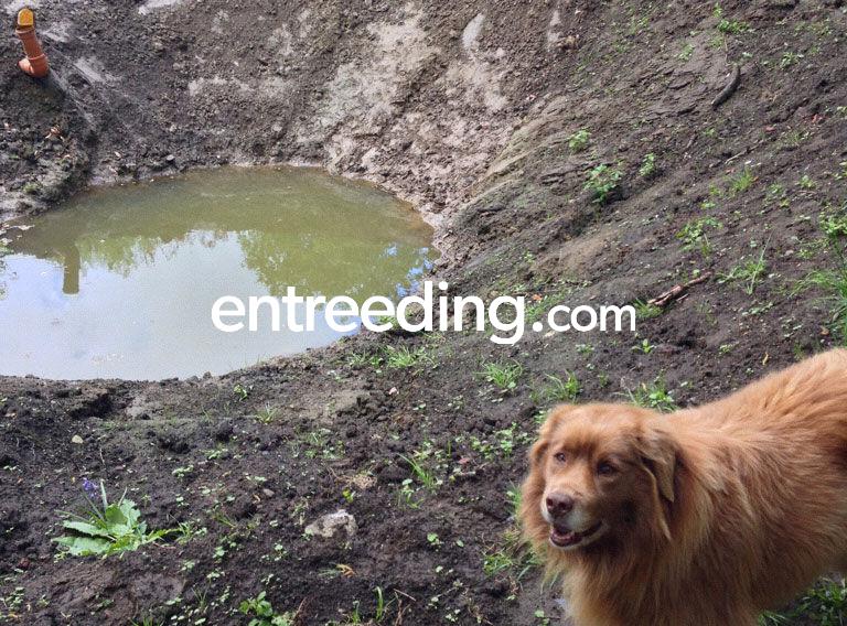 Aanleggen van vijvers, grachten