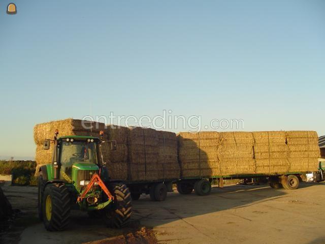 John Deere met vracht stro