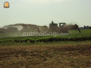 -- Omgeving Sliedrecht