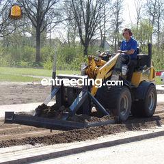 Mustang, 165 cm breed, 3.... Omgeving Weert