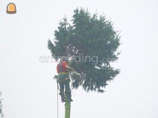 Boomverzorger Omgeving Hilversum