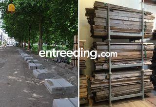 Boombeschermers Omgeving Kamerik