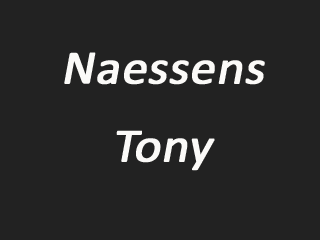 Logo Naessens Tony Ingooigem