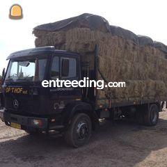 Mercedes 520 Omgeving Goes