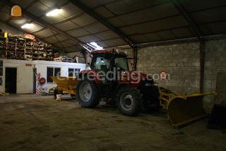case ih maxxum 140 Omgeving Goes