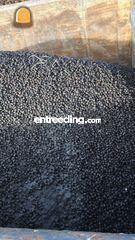 Kleikorrels 8/16 Omgeving Meppel