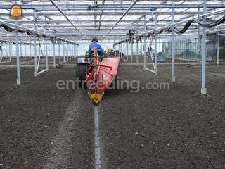 Fendt 209 Vab Omgeving Gouda