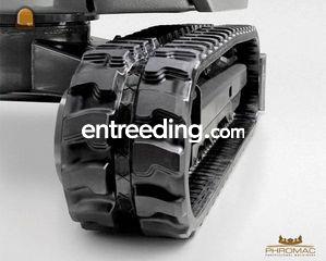 Phromac uit Assenede