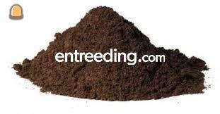 Bomenzand 300 B.R.L. 9335-4