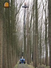 ervaren boomverzorger Omgeving Vianen