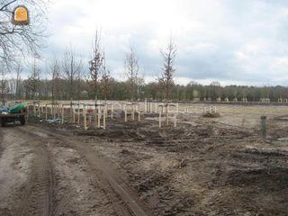 groenwerk Omgeving Vianen